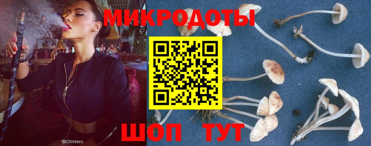 Галлюциногенные грибы GOLDEN TEACHER  Галлюциногенные грибы MAGIC MUSHROOMS  Якутск  Вход с VPN 